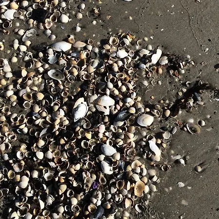 Lejlighed Haus Verando - Meeresrauschen Ii *